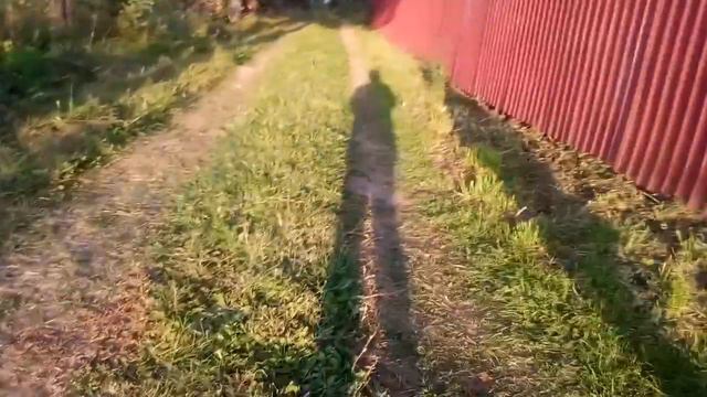 Я не хочу уезжать отсюда ребята смотреть онлайн