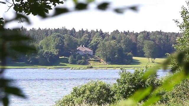 Стихотворение А.С. Пушкина «Сожженное письмо» смотреть онлайн