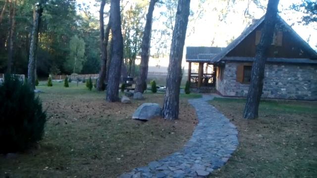 Ходим по даче влог смотреть онлайн