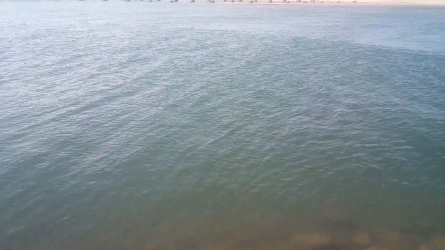 Пеленгас 2021 на промоине в Кирилловке. Промоина молочного лимана. ставрида. смотреть онлайн