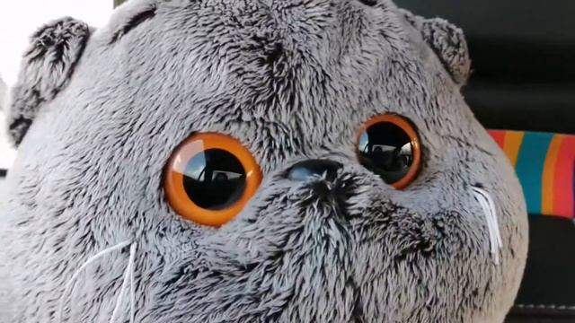 БАСИК поехал на море /наше путешествие смотреть онлайн