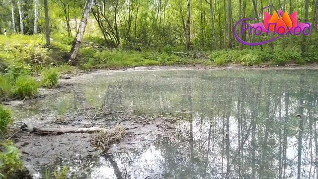 Москва - Сергиев Посад (день второй, до Калистово 45КМ) смотреть онлайн