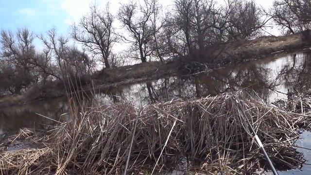 Рыбалка на удочку !!!! Ловля тарани, плотвы, воблы . смотреть онлайн