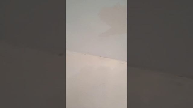 Дизайн тенденций