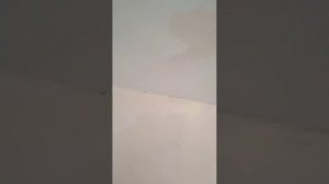 как снять краску с потолка