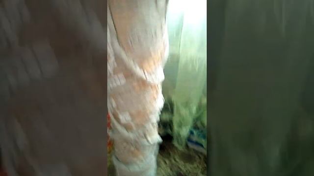 Подставка под орхидеи! смотреть онлайн