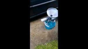 Очистка ягоды от мусора (тест  4 брусника)