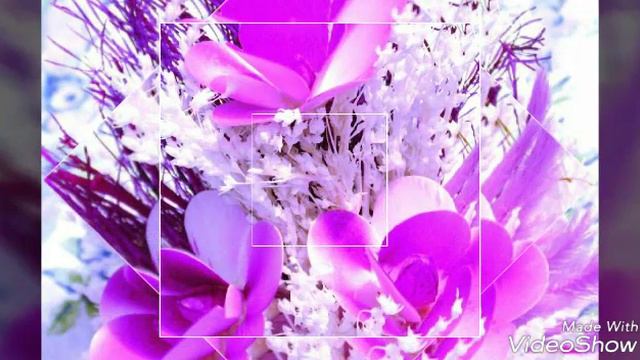 ВОСХИТИТЕЛЬНЫЕ цветы! 🌷🌼🌻🌺🌹💮🌸💐 смотреть онлайн