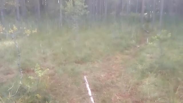 Ненимяки, Озеро недалеко от озера Белого. смотреть онлайн