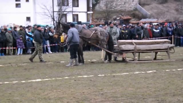 todorov den 2014 koprivshtica смотреть онлайн