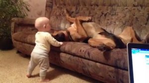 Ребенок и Бладхаунд