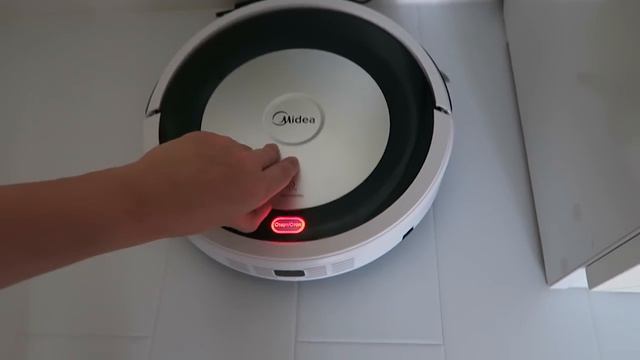 VLOG: Готовлю гороховый суп / Привожу собак в порядок / Наш робот пылесос