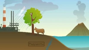 Круговорот азота в природе