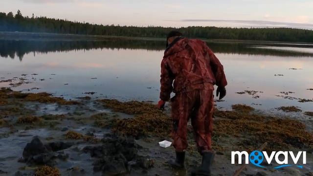 Белое море. Копаем морских червей/Огромные черви!!! смотреть онлайн