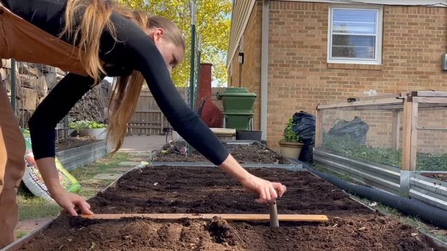 The TRUTH About My Chickens & Planting GARLIC for 2024! смотреть онлайн