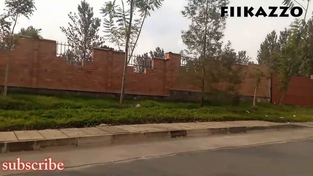 Трансформации Разума