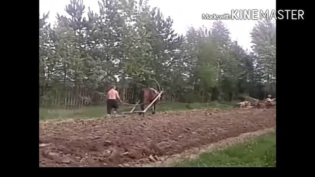 Slava