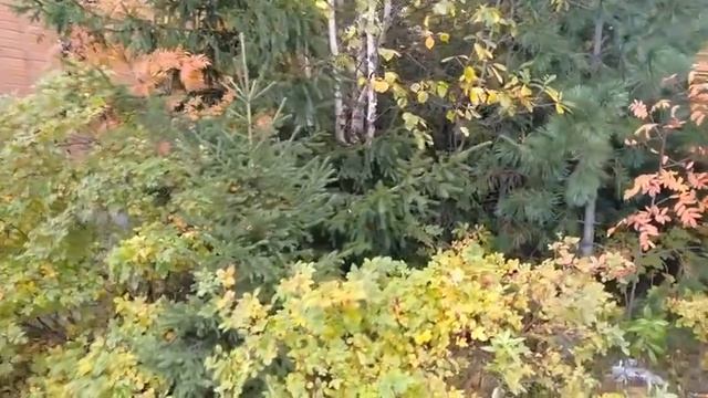 22.09.21 г. ПЕРВЫЙ СНЕГ В МЕГИОНЕ!!! смотреть онлайн