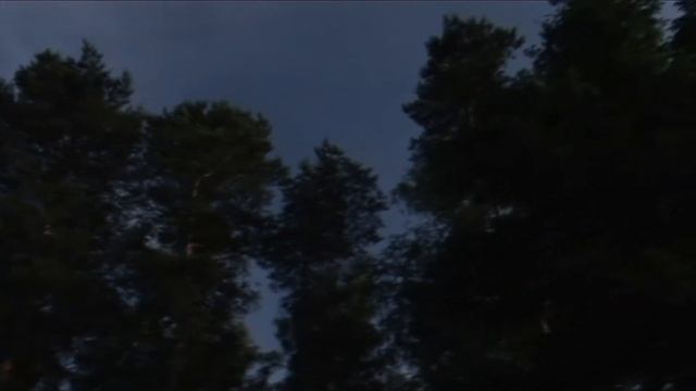 Test Aufnahme mit der Sony HDR-FX1 HDV (Natur) смотреть онлайн