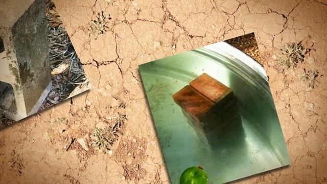 Декоративный пруд своими руками смотреть онлайн