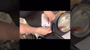 Как самим сделать тест прядь для отработки красителя #тестоваяпрядь # парикмахер #парик #волосы