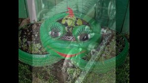 Гусеница из покрышки своими руками