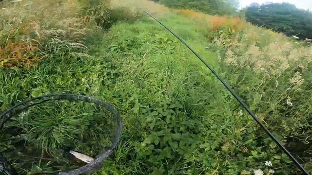 Откриване на риболовният сезон 16.06.22 в Англия. ?? смотреть онлайн