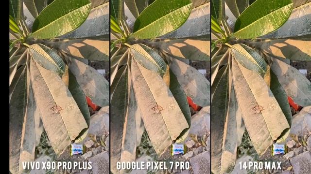 Vivo X90 Pro Plus VS Google Pixel 7 Pro VS iPhone 14 Pro Max Camera Test смотреть онлайн
