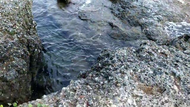 Куда сходить из отеля Miridia Beach на прогулку... смотреть онлайн