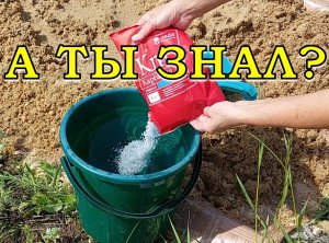 Чтобы ОПИЛКИ быстро перепрели, я делаю так👍👍👍