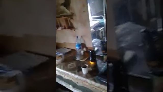 старатели г зея быт старателя смотреть онлайн