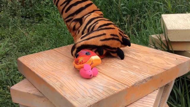 Игрушечная змея с мышью смотреть онлайн