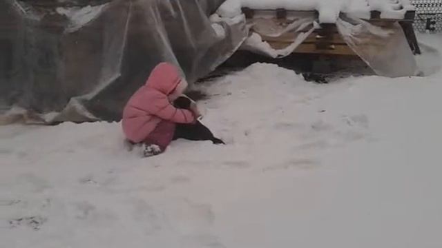 девочка и маленький щенок хаски смотреть онлайн