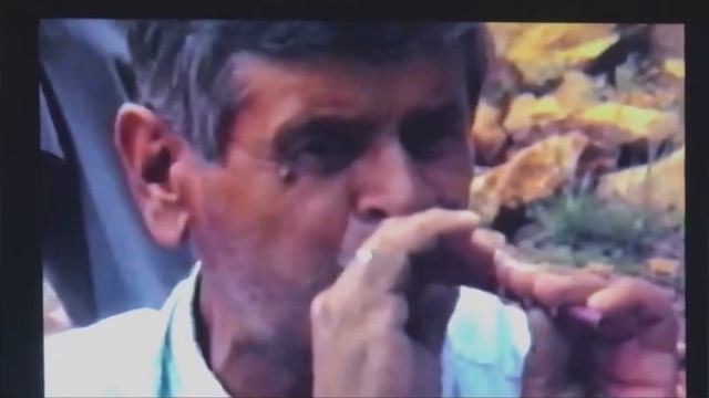 DİRMİL-Mehmet Ali Aşıkoğlu -bağlama ve ses-Muammer Aşıkoğlu-cura-İsmail Evcil-SİPSİ-Halil Doğan-rit смотреть онлайн