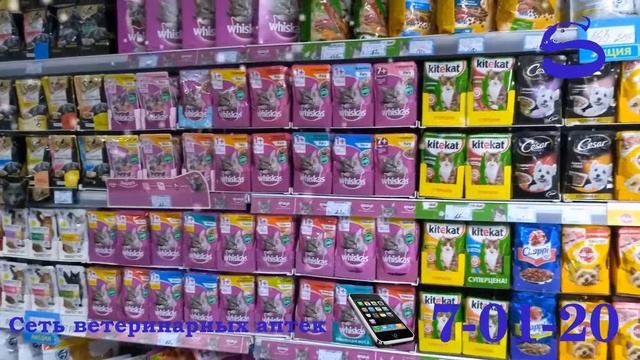 ШВЕЙКА январь 2019 смотреть онлайн