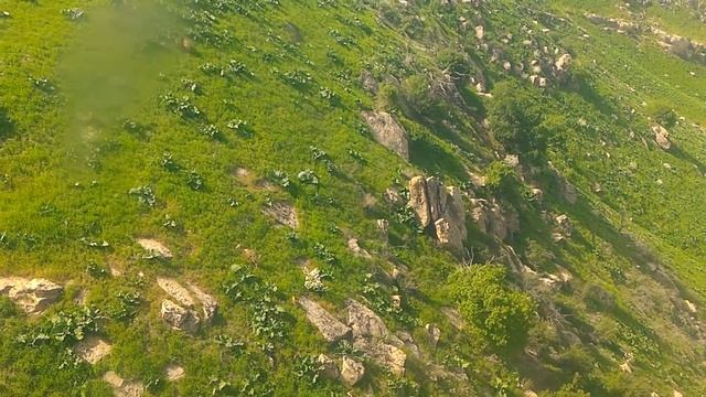 Ашхабад №7 Фауна. Джейран смотреть онлайн