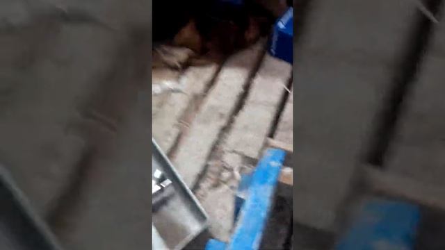 Опора часть 2 смотреть онлайн