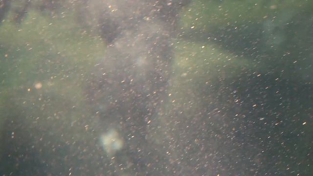 Singapore Zoo and The River Safari [HD] смотреть онлайн