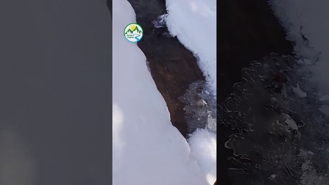 Burchmulla #Дача #Dachi_v_gorax #Дачи_в_горах #Chorvoq #Чарвак #Дачи ДАЧИ В ГОРАХ смотреть онлайн