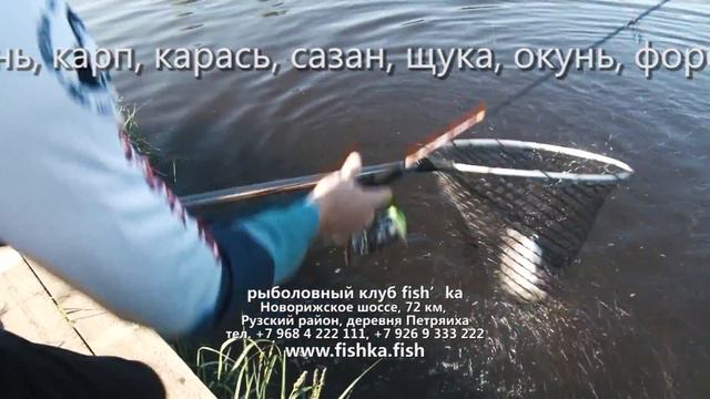 Рыболовный клуб ФИШКА смотреть онлайн