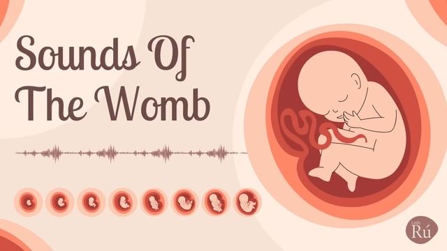 Womb Sounds For Babies - White Noise, Heartbeat, And Underwater Sounds