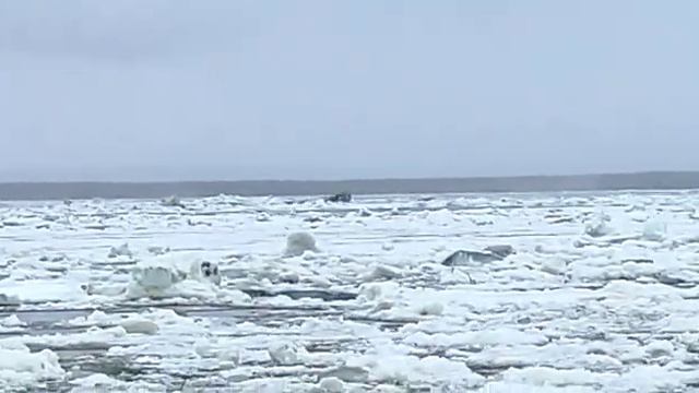 На Лене во время ледохода из-за поломки встал "Ирбис" смотреть онлайн