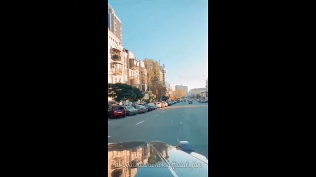 Леди Диана влог / поездка за третьей собачкой. 2 часть смотреть онлайн