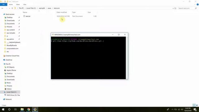 How to install Wordpress on localhost using Wamp and Git смотреть онлайн