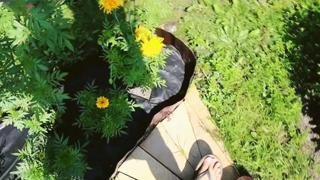 ДАЧНЫЙ ВЛОГ /июнь'21/ Жара. Пионы. Цветы. Душистые травы. Новый забор.