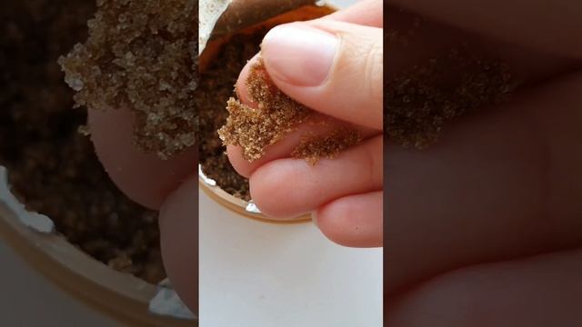 Скраб для тела из гималайской соли TOP L.A.K смотреть онлайн