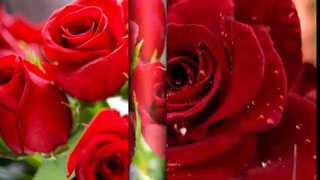 С_ДНЕМ_РОЖДЕНИЯ_МУЗЫКАЛЬНАЯ_ОТКРЫТКА_ПЕСНЯ_ПОЗДРАВЛЕНИЕ.mp4 смотреть онлайн