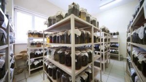 Редкий,но очень прибыльный бизнес!Разведение и продажа пиявок  Бизнес на пиявках!