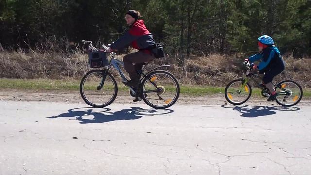 Корзина для собак Trixie смотреть онлайн