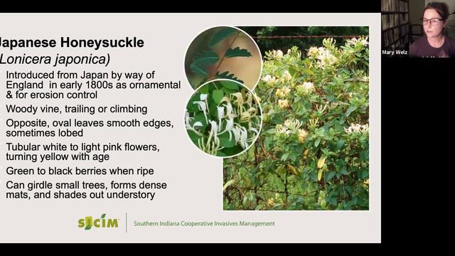 Zionsville's Invasive Neighbors смотреть онлайн